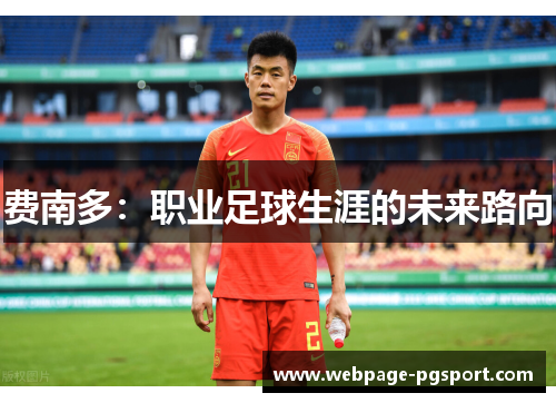 费南多：职业足球生涯的未来路向