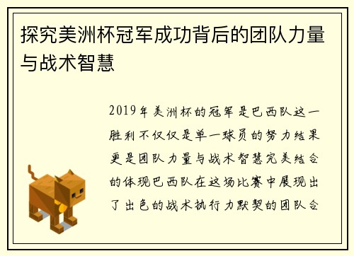 探究美洲杯冠军成功背后的团队力量与战术智慧
