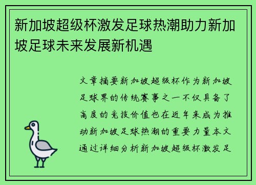新加坡超级杯激发足球热潮助力新加坡足球未来发展新机遇